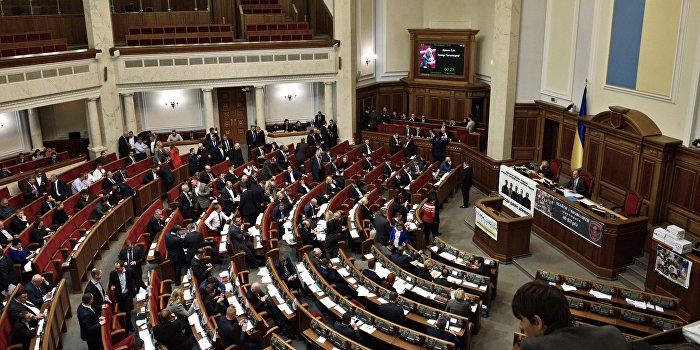 Нардеп принес в Раду «Ждуна»