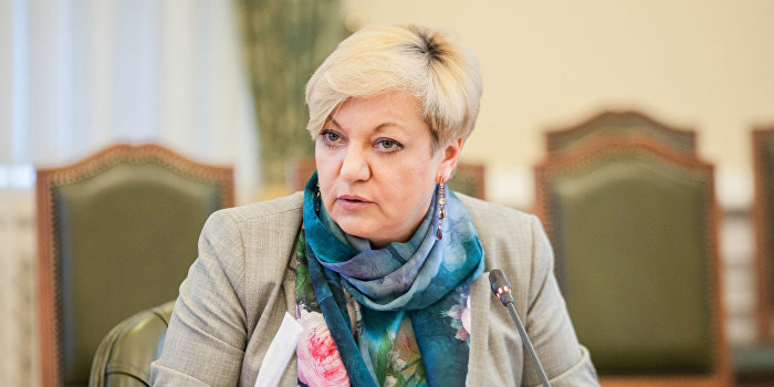 Клименко показал, как «стюардесса» Гонтарева валила курс гривны