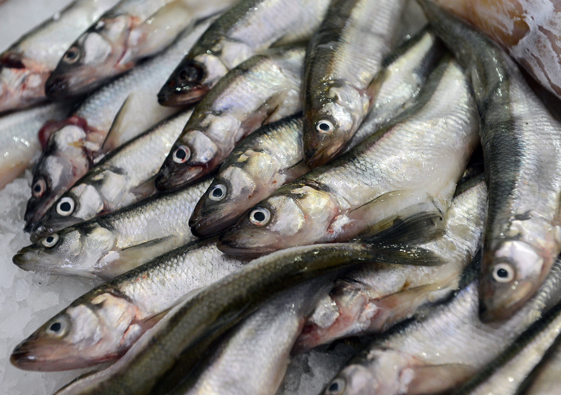 Реформа надзора за качеством продуктов приводит к массовым отравлениям на Украине