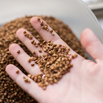  ����-��������� ���������� ����� �������� ��������� ������� ������ ������������ 