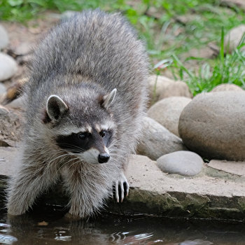  ������� ���� ������ ������� �������� ������� 