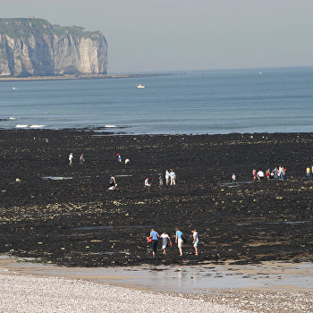  ������ ���������� �������������� ������ ������������� ����� ��-���� 