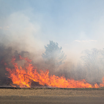 ����: ukraina.ru